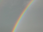 27057 Rainbow.jpg